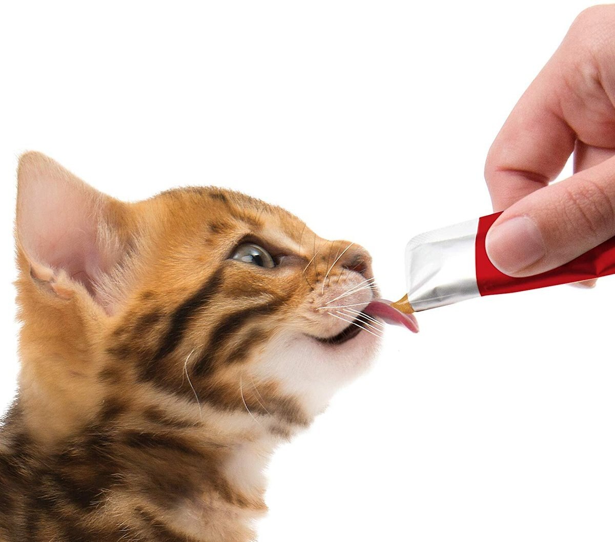 Gâteries pour chats