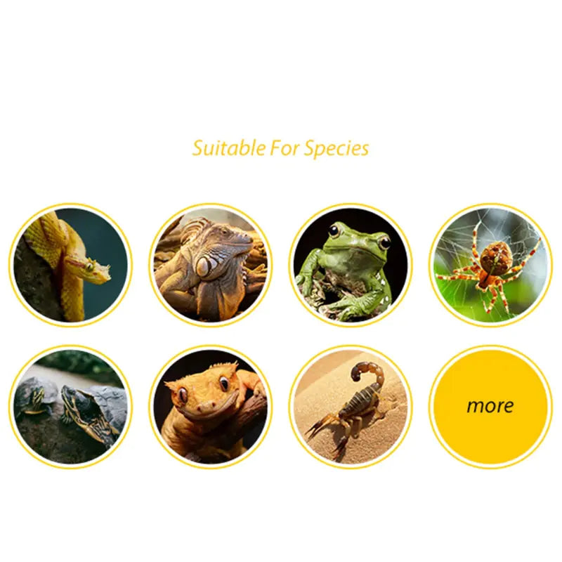 Caverne pour reptiles en bois de bouleau artificiel – Décoration de terrarium