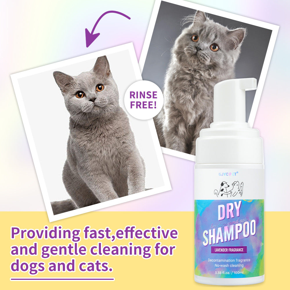 Shampoing Sec pour Chats – Mousse Nettoyante Sans Rinçage 100 ml | XY130 Déodorant & Désodorisant