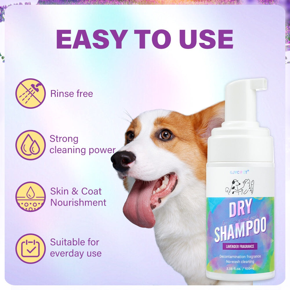 Shampoing Sec pour Chats – Mousse Nettoyante Sans Rinçage 100 ml | XY130 Déodorant & Désodorisant