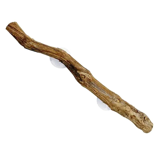 Branche en liane pour reptiles avec ventouses – Coin décoratif pour terrarium