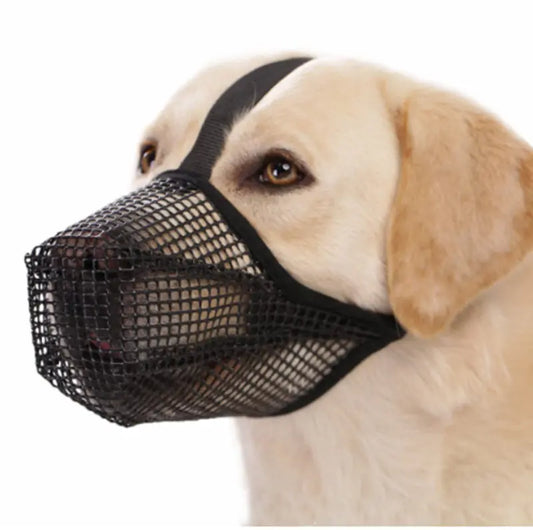 Masque de protection buccale pour chien