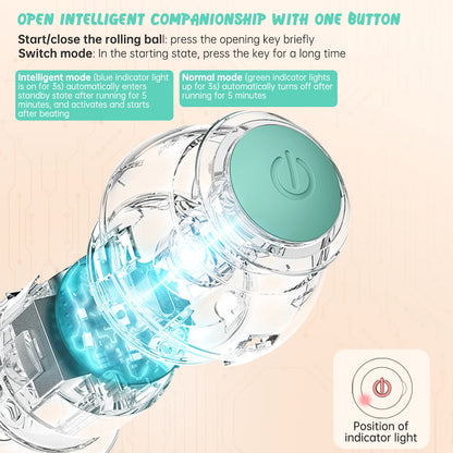 Balle Électrique Intelligente pour Chat – Jeu Interactif avec Herbe à Chat