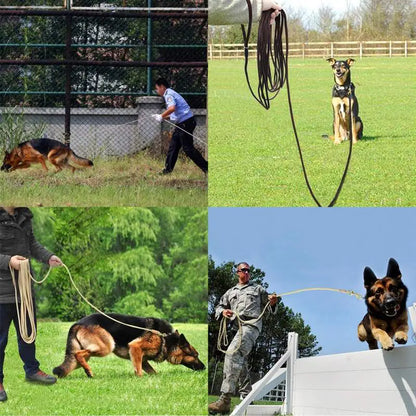 Training leash for medium and large dogs – Sturdy and versatile