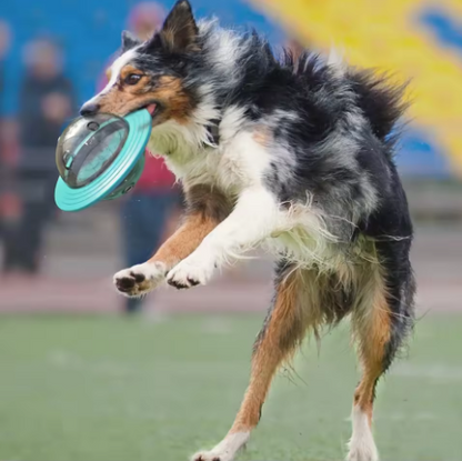 Jouet interactif rotatif avec distributeur de friandises pour chiens