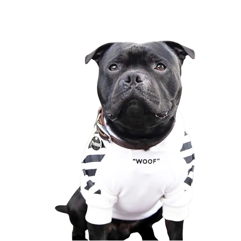 Hoodie tendance en polaire pour petits chiens