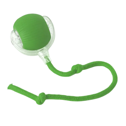 Balle interactive pour chats