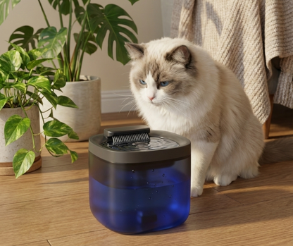 Fontaine à Eau 3L pour Chats