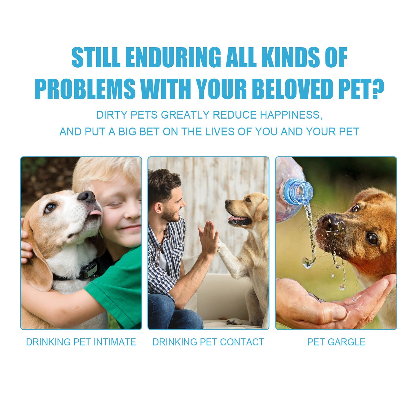 Dentifrice Fraîche Haleine pour Animaux – Chiens & Chats