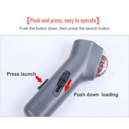 Automatic pet treat dispenser