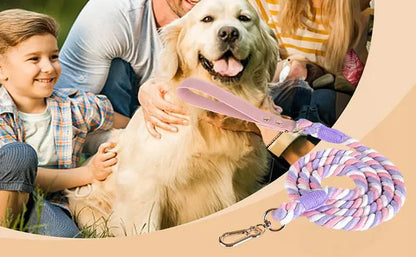 Strong and durable dog leash with comfortable handle