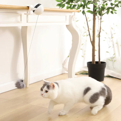 Automatic Hanging Electric Cat Toy – Intelligent Interactive Ball