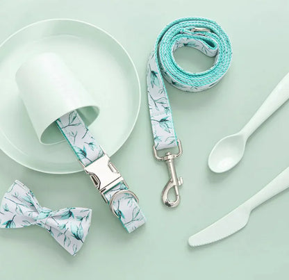 Laisse et collier pour animaux