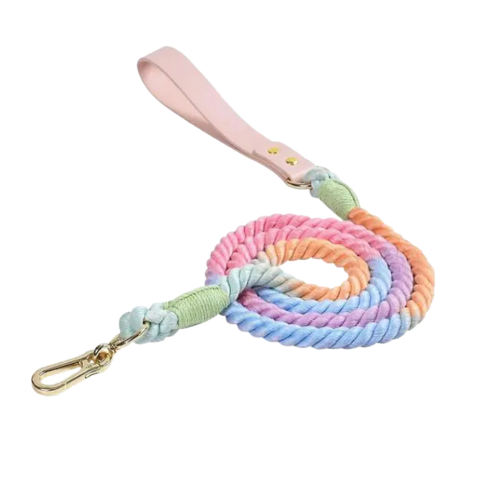 Laisse pour chien robuste et durable avec poignée confortable