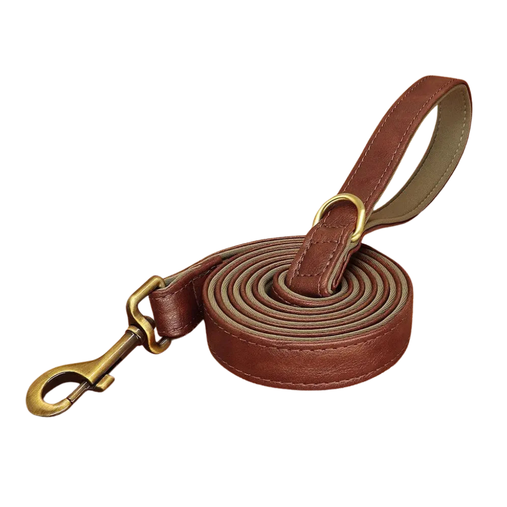 Laisse de chien en cuir PU souple à 2 couches, laisses d'entraînement durables pour la marche des animaux de compagnie, petits, moyens et grands chiens, Pitbull, 5 pieds