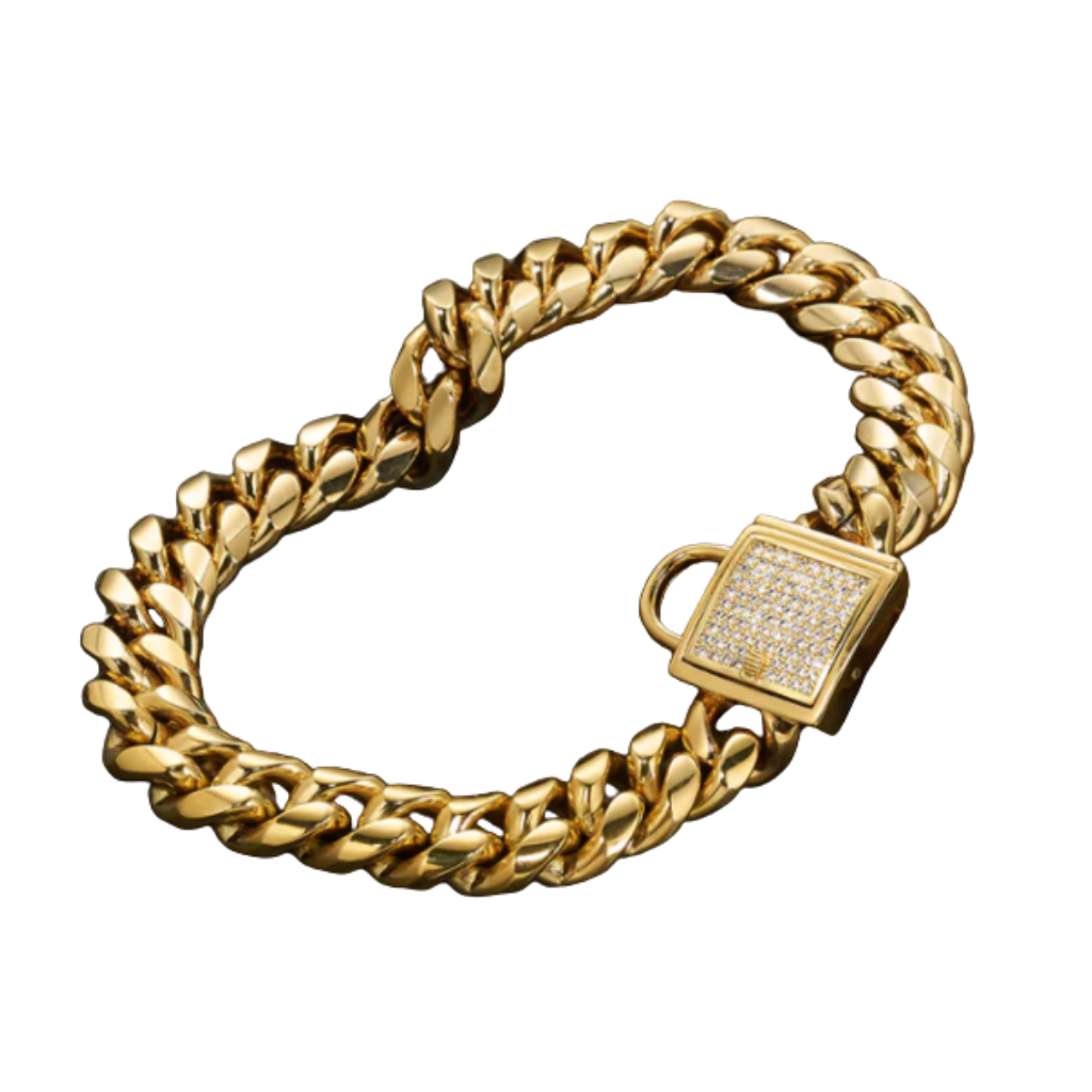 Collier pour chien en acier titane avec boucle de chaîne dorée