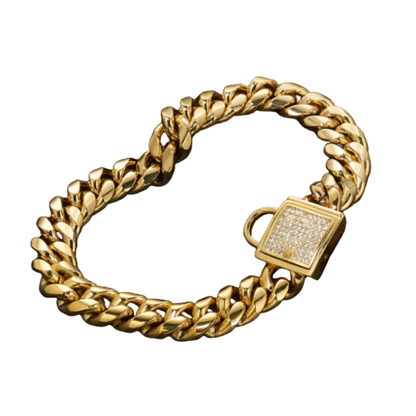 Titanium Steel Dog Collar with Gold Chain Buckle