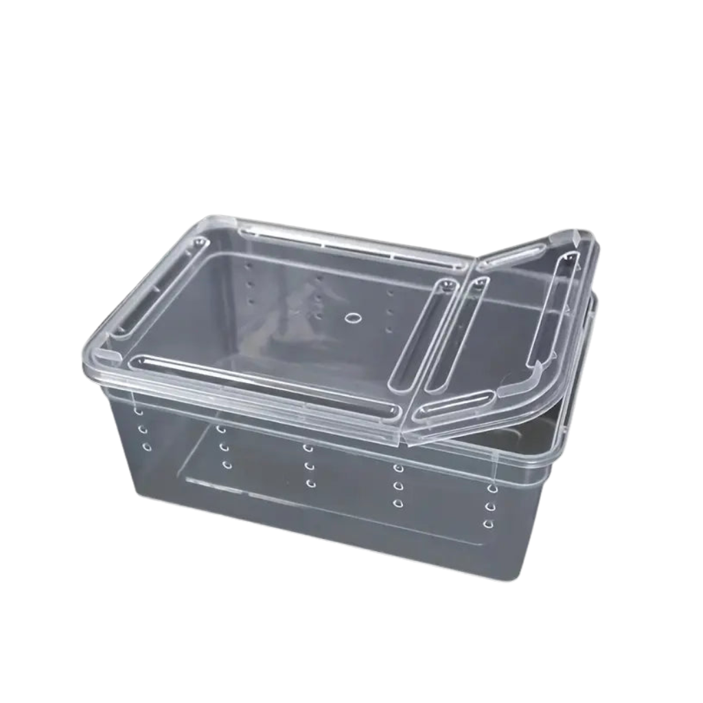 Boîte d’élevage pour reptiles et insectes