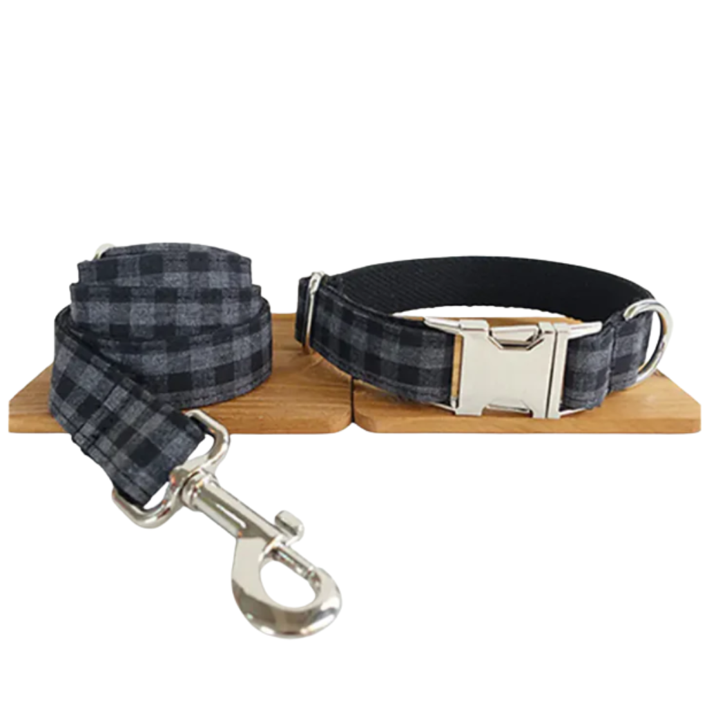 Ensemble collier et laisse pour chien