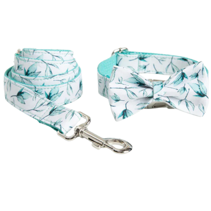 Laisse et collier pour animaux