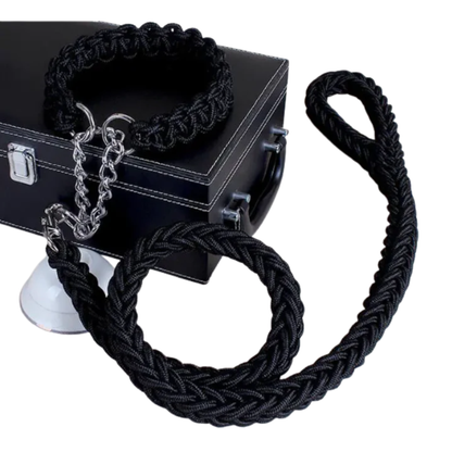 Ensemble collier+ laisse pour chien - Ajustable et robuste