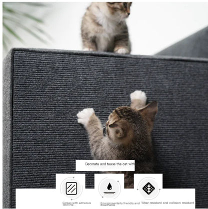 Tapis d'escalade durable pour chat avec autocollants muraux résistants aux rayures
