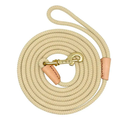 Training leash for medium and large dogs – Sturdy and versatile