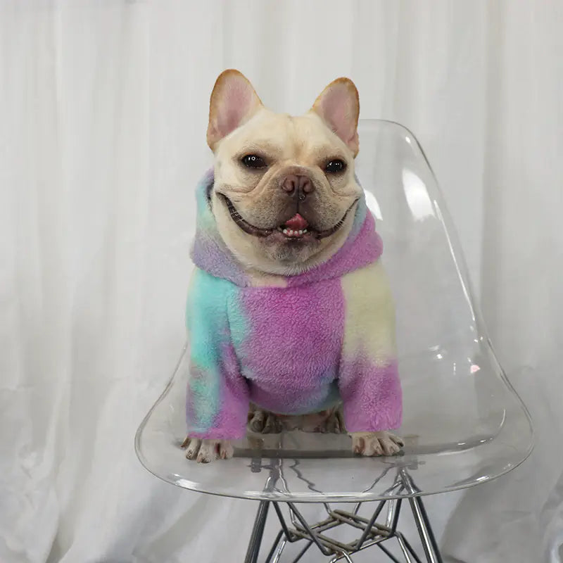 Tenue d'hiver française avec capuche pour chiens, sweat à capuche tie-dye