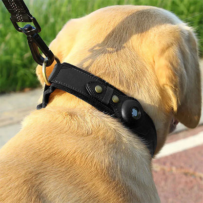 Collier pour chien en cuir véritable avec traceur localisateur pour animaux de compagnie