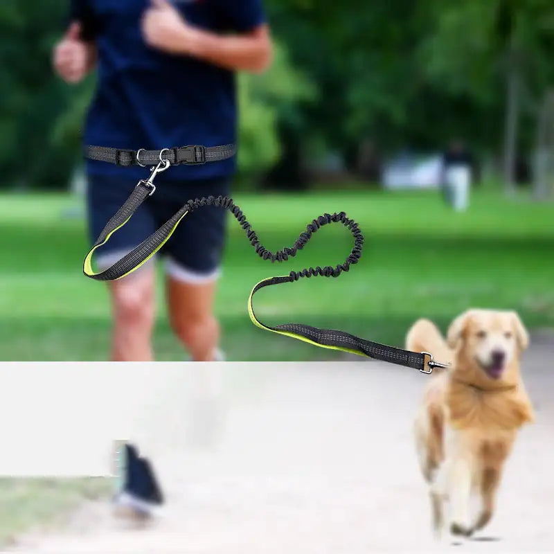 Ceinture de Promenade pour Chien avec Laisse Détachable Antichoc
