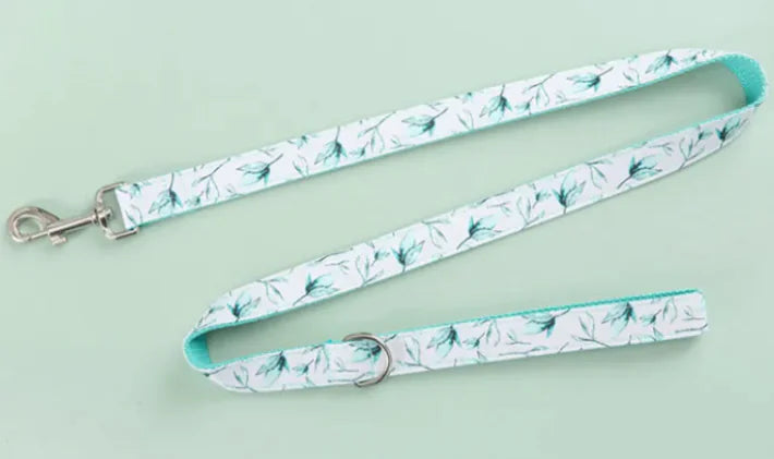 Laisse et collier pour animaux