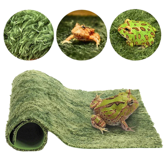 Tapis en mousse douce et hydratante pour terrarium et boîte de reptile