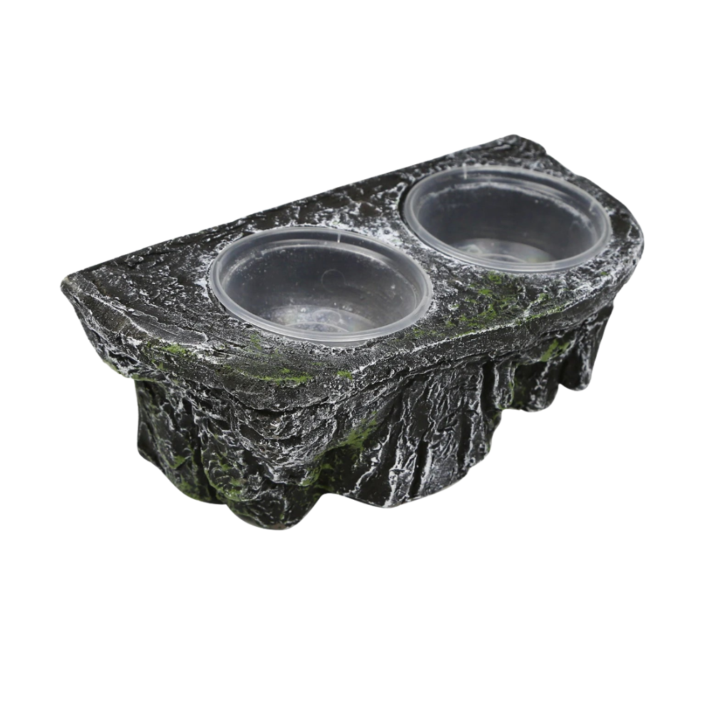 Plat d'alimentation pour reptiles en résine avec double bol, détachable, facile à nettoyer, ventouses, décor d’habitat pour dragon barbu