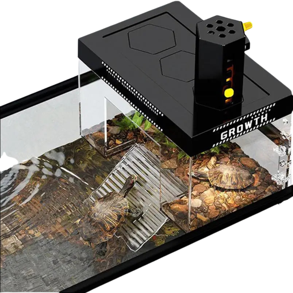 Plateforme de prélassement pour tortue – zone de repos avec couvercle pour réservoir aquatique