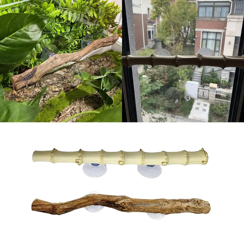 Branche en liane pour reptiles avec ventouses – Coin décoratif pour terrarium