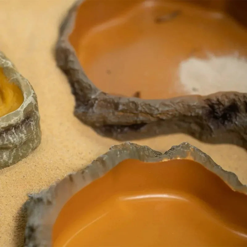 Bol d’alimentation et d’eau pour reptiles – Résine durable pour gecko, dragon barbu, tortue et autres petits reptiles, 7,7x11x2,8 cm