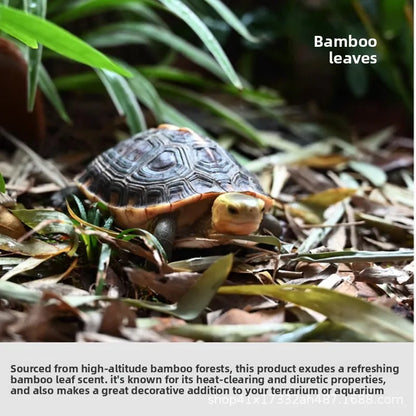 Feuilles de bambou naturelles pour literie de reptiles et tortues – 50 g