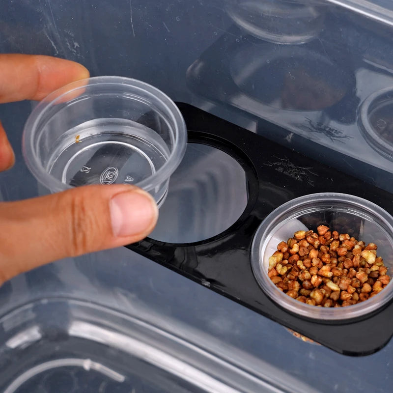 Mangeoire pour reptiles avec ventouse – bol d’alimentation pour terrarium, lézard, gecko, tortue et caméléon