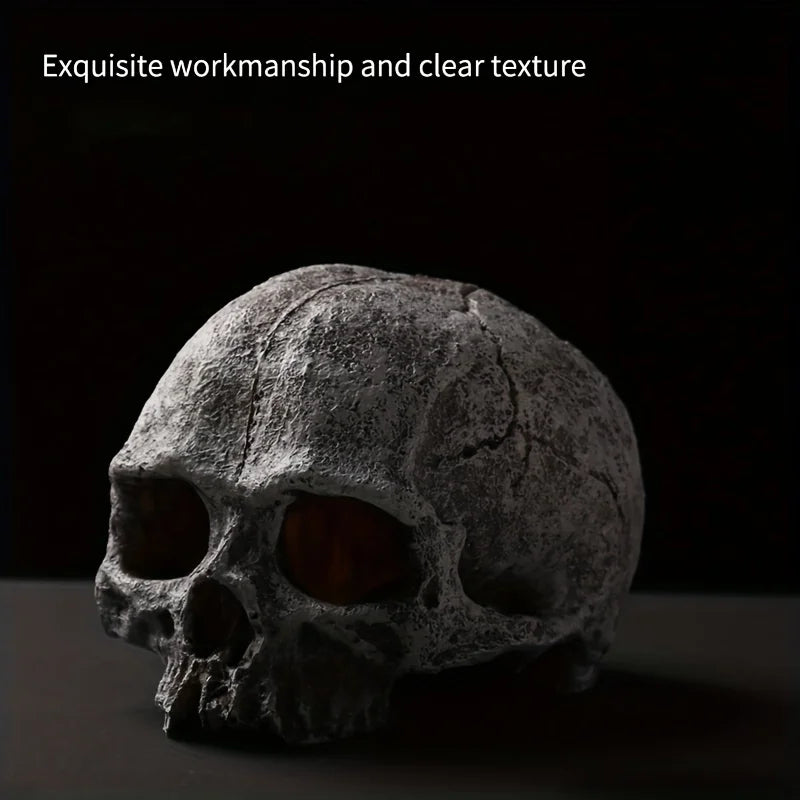 Crâne décoratif d’aquarium pour reptiles et vivariums