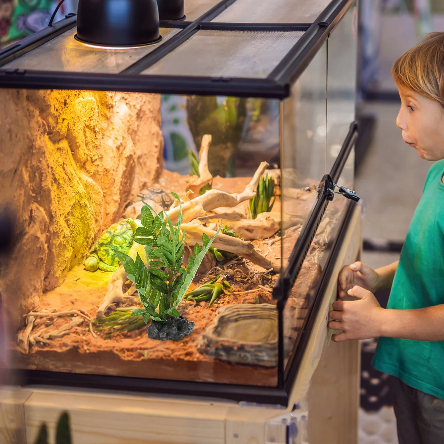 Plantes décoratives pour décoration d'habitat de lézard, décoration de Reptiles en résine