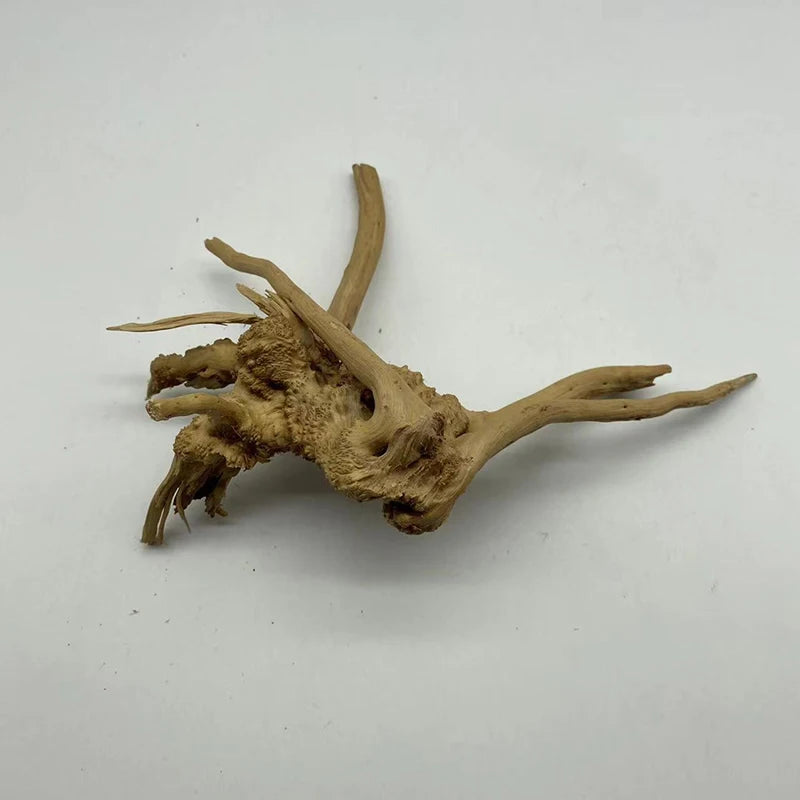 Tronc d’arbre naturel en bois flotté – décoration et accessoire pour terrarium / aquarium