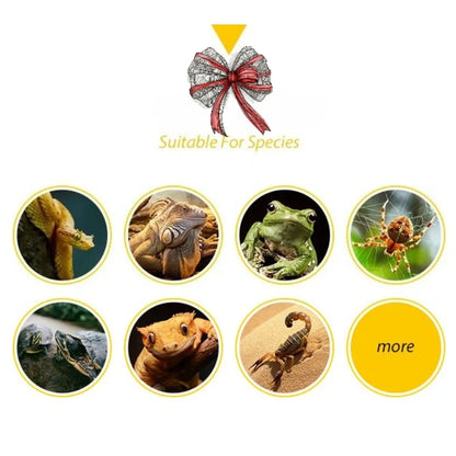 Bol d’alimentation et d’eau pour reptiles – Résine durable pour gecko, dragon barbu, tortue et autres petits reptiles, 7,7x11x2,8 cm