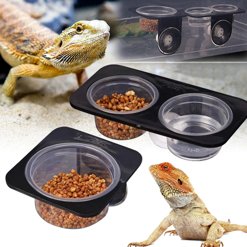 Mangeoire pour reptiles avec ventouse – bol d’alimentation pour terrarium, lézard, gecko, tortue et caméléon