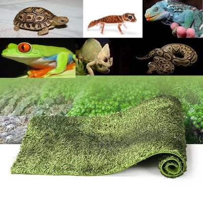 Tapis en mousse douce et hydratante pour terrarium et boîte de reptile