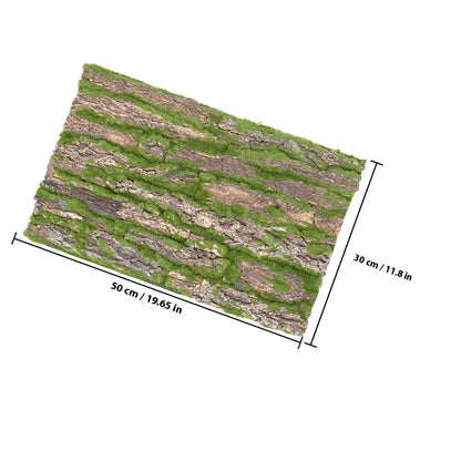 Décor d’écorce naturelle pour terrarium – Plateforme d’escalade reptile | Fond d’aménagement pour lézard, gecko, serpent