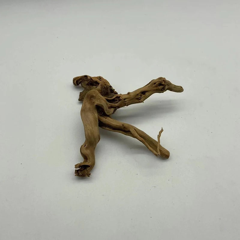 Tronc d’arbre naturel en bois flotté – décoration et accessoire pour terrarium / aquarium