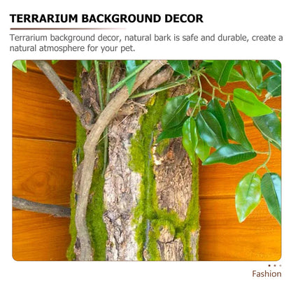 Décor d’écorce naturelle pour terrarium – Plateforme d’escalade reptile | Fond d’aménagement pour lézard, gecko, serpent