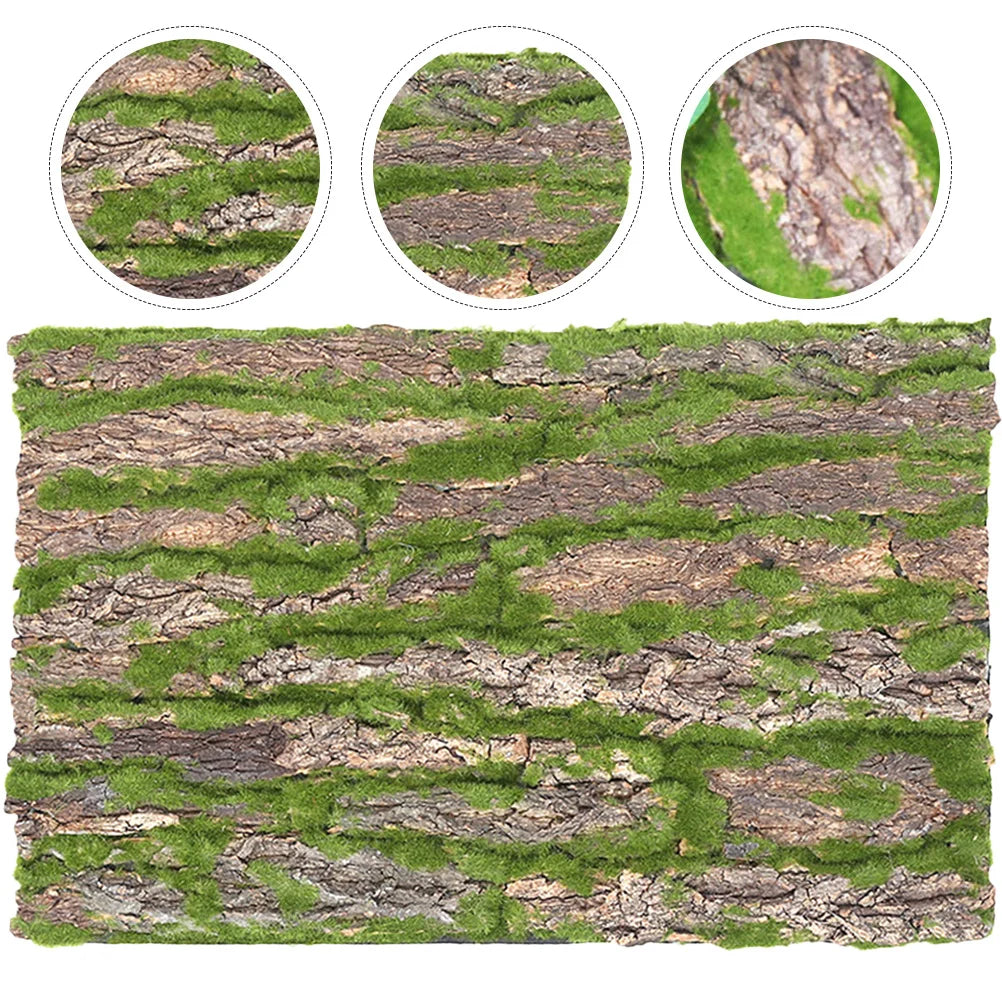 Décor d’écorce naturelle pour terrarium – Plateforme d’escalade reptile | Fond d’aménagement pour lézard, gecko, serpent