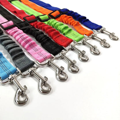 Ceinture de sécurité rétractable pour chien – laisse élastique réfléchissante
