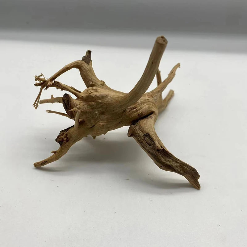 Tronc d’arbre naturel en bois flotté – décoration et accessoire pour terrarium / aquarium